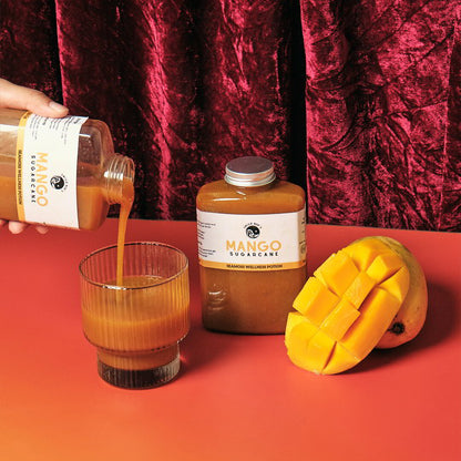 Mango Sugarcane Sea Moss Wellness Potion — view 2