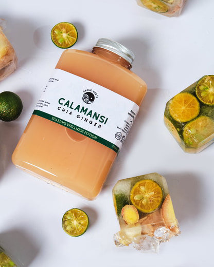 Calamansi + Ginger Chia Sea Moss Wellness Potion — view 5