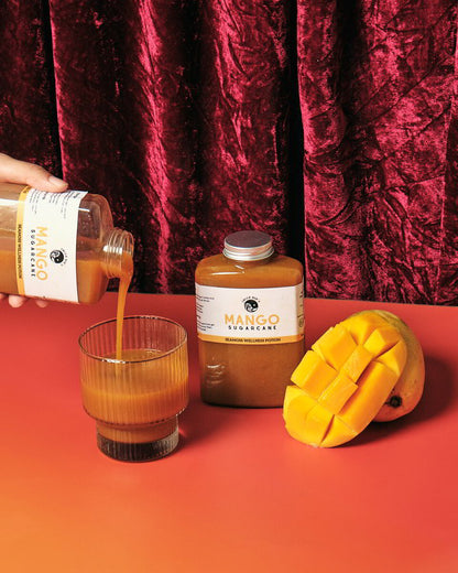 Mango Sugarcane Sea Moss Wellness Potion — view 3