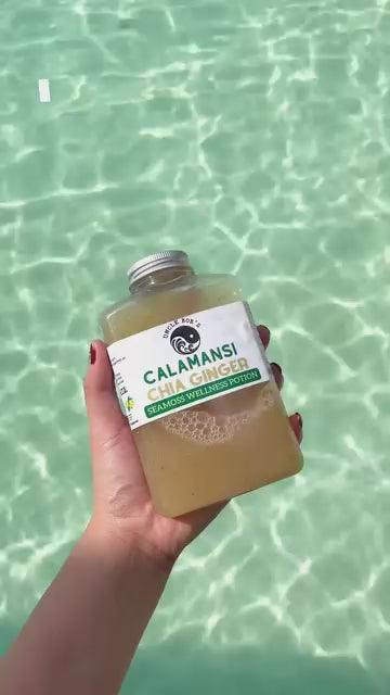 Calamansi + Ginger Chia Sea Moss Wellness Potion