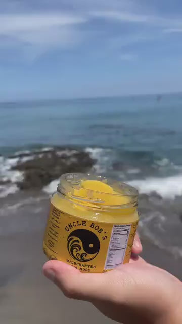 Mango Sea Moss Blend